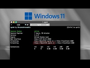 Install Ngrok Tunnel on Windows Os 8,10,11, Fix all Bugs, Ngrok Error Fix