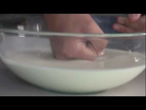 DINKITS: ¿Sólido o líquido? ¡Descubre los fluidos No Newtonianos! 💡 Experimentos caseros.