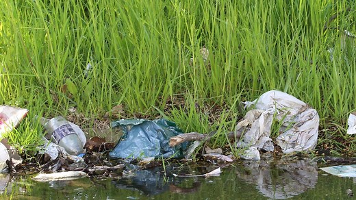 Do plastic bag bans work? Here's what the science says.