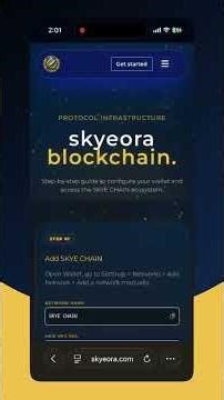 MetaMask में SKYE CHAIN कैसे इम्पोर्ट करें | आसान स्टेप-बाय-स्टेप गाइड (शुरुआती लोगों के लिए)