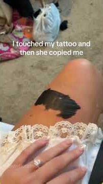 Mom, I can do it too!#cat #catsoftiktok #catlover #funny #funnyvideos #foryou #fypage #fypツ