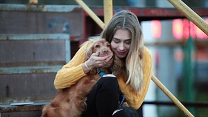 2.3K views · 158 reactions | In case you didn't see this the first time I posted it, meet Harriet, Ethan, and spaniel Madi from MOONLIGHT OVER MANHATTAN - out now in the US, and on a special deal in the UK (just 99p!! Snap it up - link in the first comment :)) Isn't it cute? It's like my own mini Christmas movie. Which brings me to the question - which is your favourite Christmas movie? I love While You Were Sleeping, Love Actually and The Holiday xxxx | Sarah Morgan | Facebook