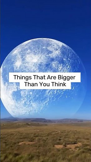 Things That Are Bigger Than You Think