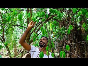 Spicy Star fruit recipe in Village Style | Star Fruit Curry - Village Cooking Videos