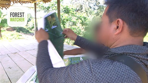 Forest Watcher makes GFW’s satellite-derived alerts and datasets available to users offline. #ForestMonitoring Watch the full video https://gfw.global/42Kh8P5 | Global Forest Watch