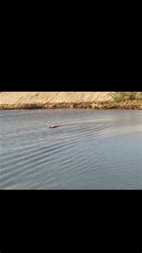 Thử test thực tế tàu Hydroplane tự chế này và tốc độ không tưởng! #hydroplane #diy #rc#rcboat #rc