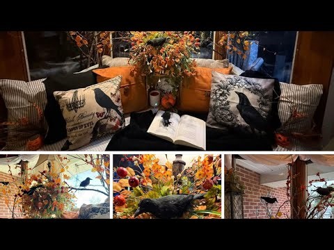 Mysterious raven , butterflies?￼