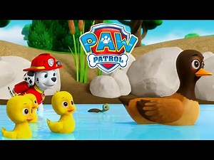 PAW Patrol On a Roll #17 Ducks need water