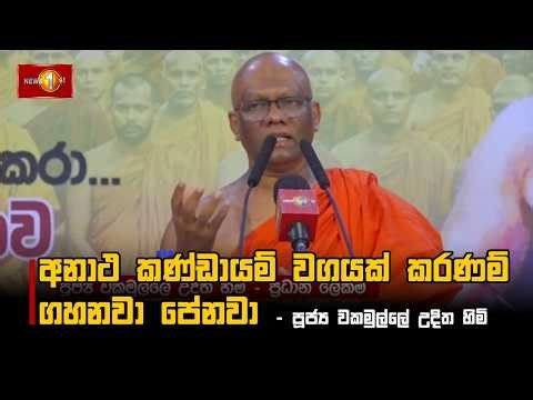 අනාථ කණ්ඩායම් වගයක් කරණම් ගහනවා පේනවා