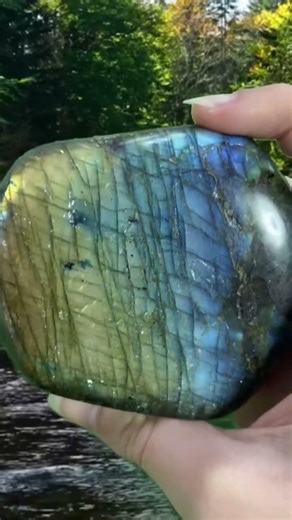 A beautiful Labradorite Crystal in the middle of nature! ✨🌈 #labradorite #crystals