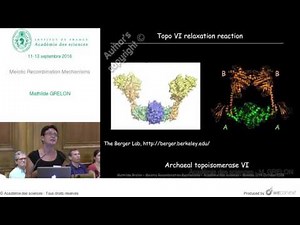 [Conférence] - M. GRELON - Meiotic Recombination Mechanisms - Académie des sciences