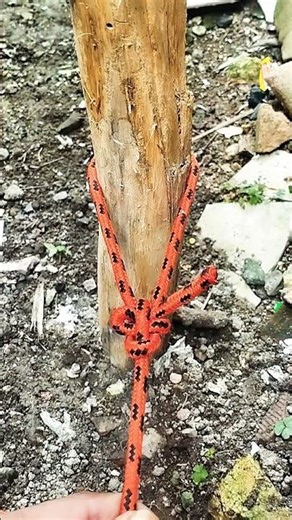 Simple but works #knot #rope #bowlineknot #shorts