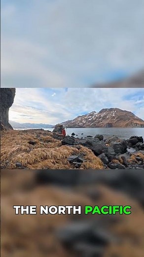 Living on the Edge: Remote Alaskan Islands!