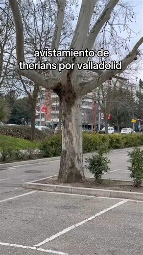 therians paseando por la ciudad #factoshorts #therian