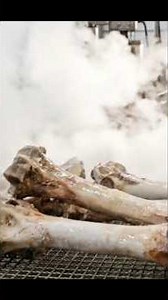 How Dirty Animal Bones Are Recycled Into $500 Designer Sunglasses