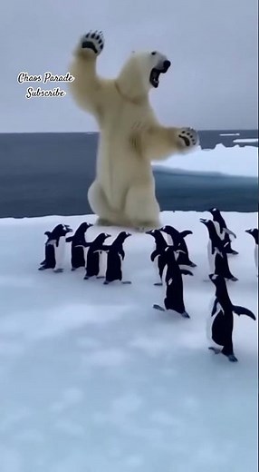 Polar Bear Attacks a Flock of Penguins 🧊 (Realistic 4K CGI Scene)