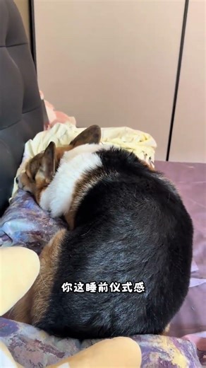 Nighttime Ritual: Face Mom's Back for a Restful Sleep