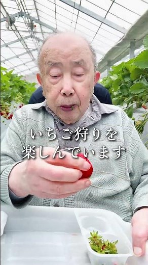 【老人ホームから20分】厚木で毎年いちご狩りを楽しむ【アライブかながわ/有料老人ホーム】