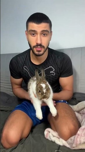 Sharing this important educational video to help you if you are thinking about getting a pet rabbit