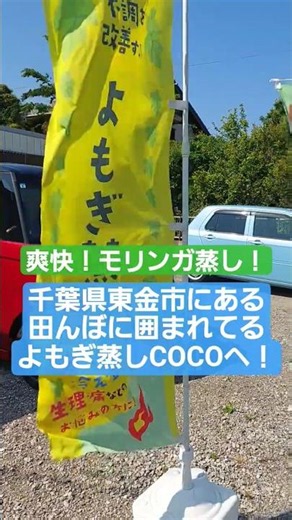 【よもぎ蒸し】東金にある爽快モリンガ蒸し体験！#よもぎ蒸し #shorts