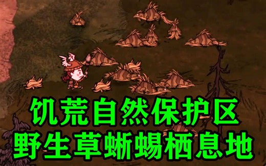 野生草蜥蜴的栖息地【女武神的联机杀戮之旅】02