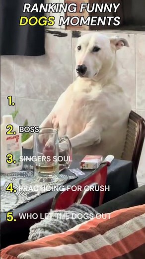 The Ultimate Dog Comedy Show!