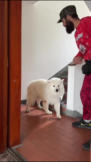 Adiestrador Canino Súper Excelente: El Chon del Dorado