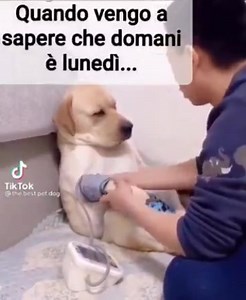 37K views · 559 reactions |  | Crazy Cartoon | Facebook