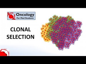 8. Clonal Selection