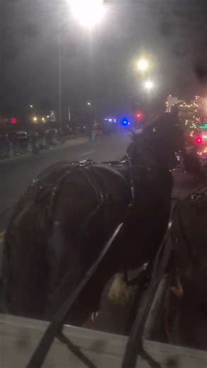 Since 2017 Olmsted Insurance Agency, the Derby Library and the Derby Rec Center has allowed Broken Spoke Clydesdales be a part of the Derby parade and Christmas in the park be sure to let all of these businesses and organizations know how much you appreciate their had work tin making these great events happen for the community #fyp #clydesdales #derbychristmasparade #Christmasinthepark #derbyks | Broken Spoke Clydesdale's