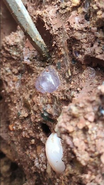 Crystal hunting in forgotten mines: The ultimate guide。Rainbow Beach's Crystal Secrets