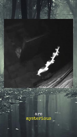 Exploring Air Rods: The Skyfish Mystery Unveiled