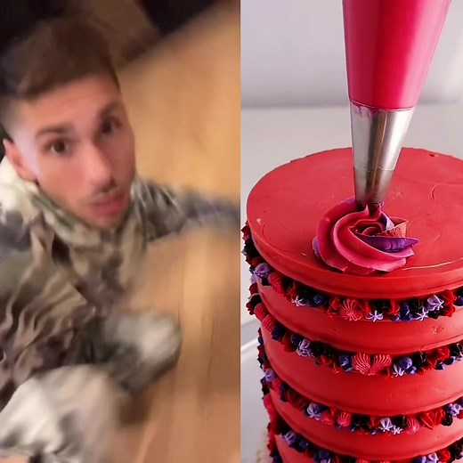 Decorating Colorful Macarons: A Visual Guide