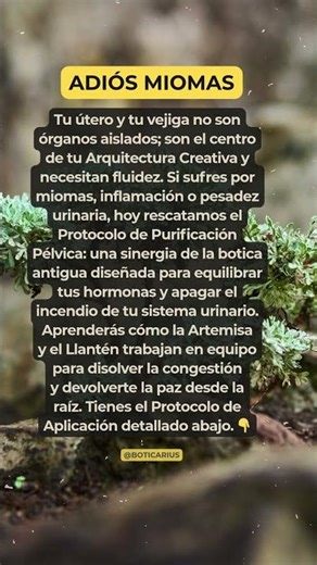 "MIOMAS Y VEJIGA" ¡Protocolo para SANAR tu Salud Íntima!