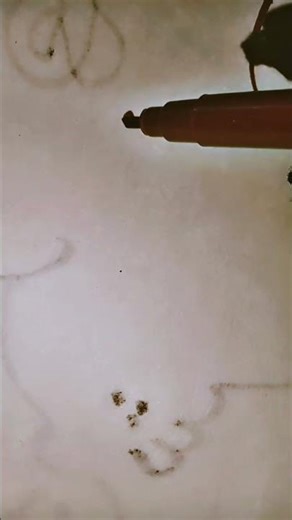 Arabic calligraphy toturial for beginners