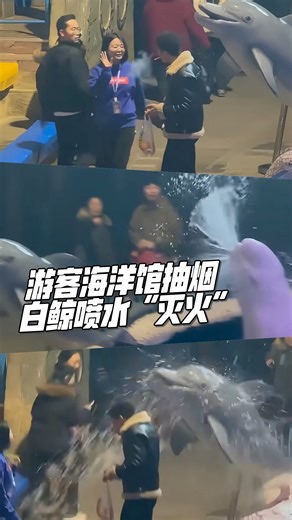 【游客海洋馆抽烟 白鲸喷水“灭火”】 一名男游客无视馆内禁烟规定，在水池边公然吞云吐雾，尽管馆方工作人员当场劝阻，他依旧不肯熄灭香烟。水池中的白鲸“石榴”突然窜出水面，对准男子方向喷出大水柱，直接将香烟浇熄，也把男子整身淋得措手不及，现场游客惊呼连连。 #东方日报 #China #DaLian #Aquarium #BelugaWhale | 馬來西亞東方日報 Oriental Daily News Malaysia
