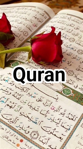Surah Ali 'Imran 118 #pathofhidayat7 #quranictranslation #allahuakbar