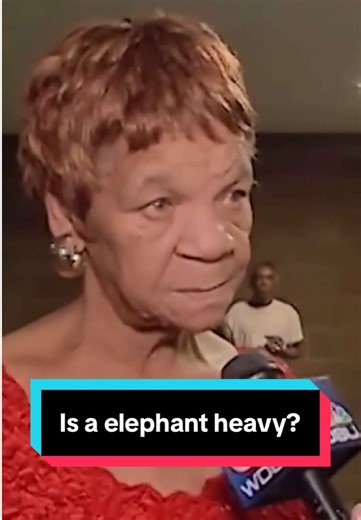 Divas of Laughter: Hilarious News Bloopers