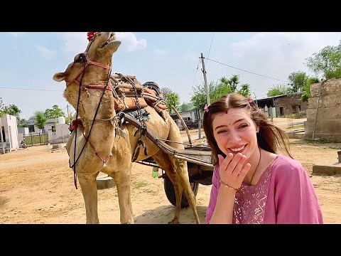 Gaon me ek special camel se mila 🐪