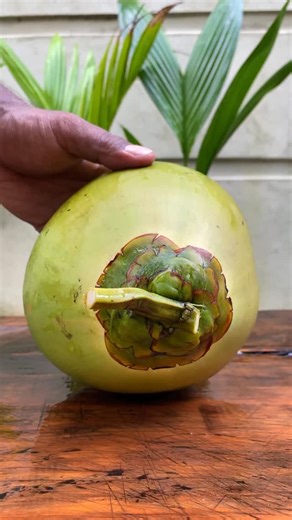 Aslam Mahamud on Instagram: "best ripe coconut cutting #fruit #reel 🌴🌴🥥🥥"