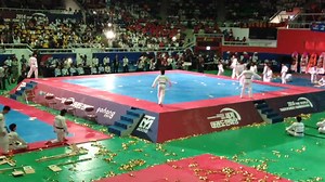 2014 World Taekwondo Hanmadang Opening ceremony | K.R.Ali Taekwondo Academy | Facebook