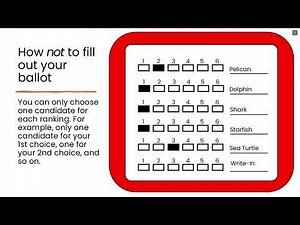Explaining Ranked Choice Voting