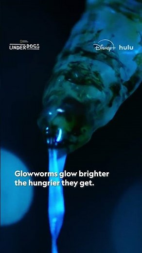 Who knew glowworm goo could be so beautiful?