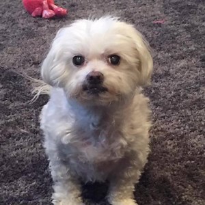 Tanner ain’t havin it! | Tanner Rants