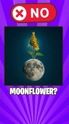 Literal Vs Reality English Compound Words Part 229😱😱