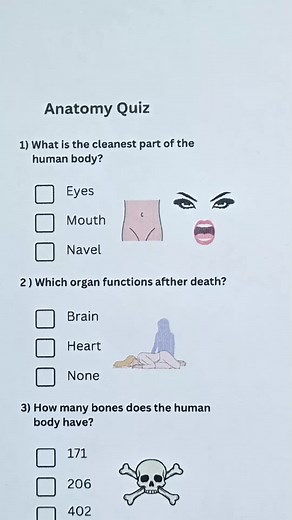Human Anatomy Quiz: Test Your Knowledge!