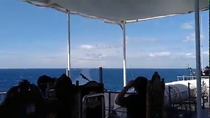 42K views · 2K reactions | AFP FOOTAGE: FA-50 and Black Hawk aircrafts headlined the air assets from the Philippine Air Force for the Fleet Review and Wing Flyby ICOW #85thAFPAnniversary. #AFPyoucanTRUST #AFPParaSaBayan | Armed Forces of the Philippines | Facebook