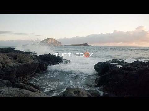 Turtlebox Ambassador | Shane Dorian