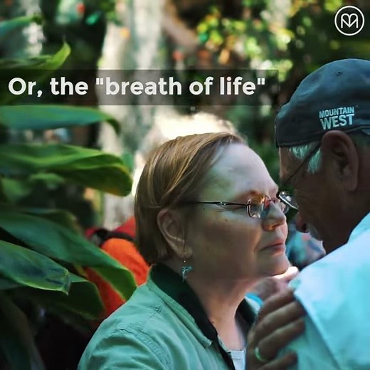 The Honi: A Polynesian Greeting