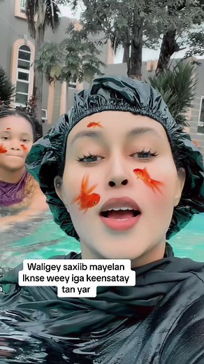 Playful Pool Activities: A Fun Day in the Sun